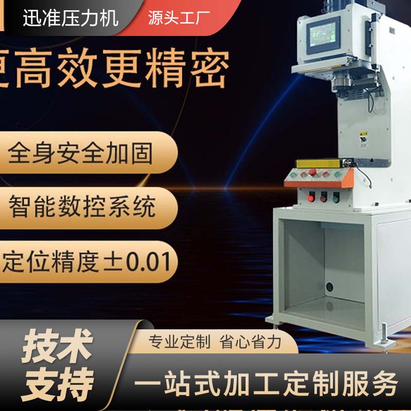 簡易C型伺服壓力機設(shè)備 迅準伺服壓裝系統(tǒng) 標準伺服壓機廠家
